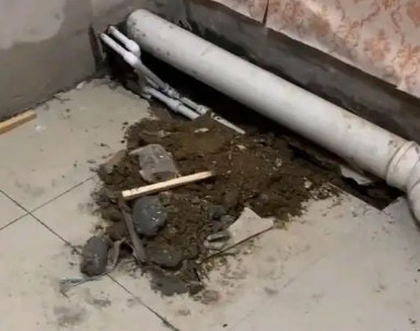 嘉荫卫生间漏水检测哪家好