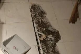 嘉荫卫生间漏水检测电话